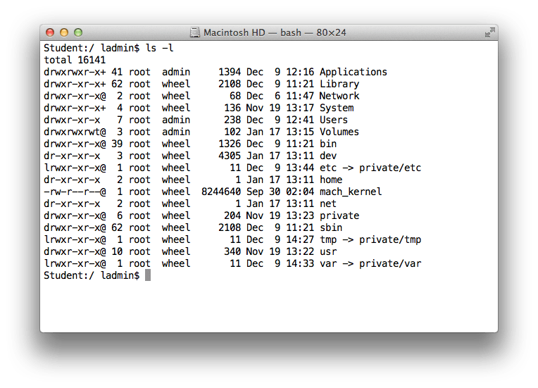 rootFolderInTerminal